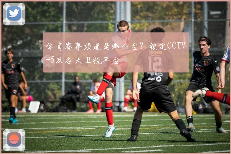 体育赛事频道是哪个台？锁定CCTV-5及各大卫视平台